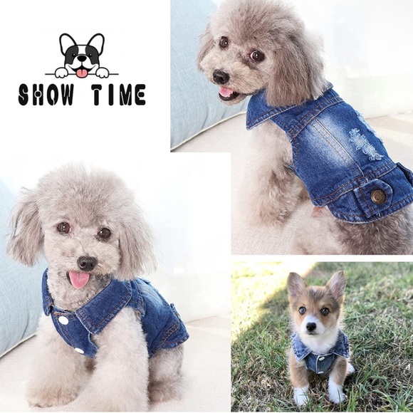 COPY - Dog denim jean jacket - Picture 5 of 12
